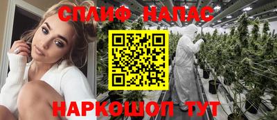 шишки Можайск