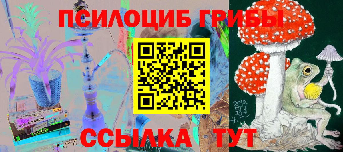 Псилоцибиновые грибы Cubensis  Вход с VPN  Сочи 