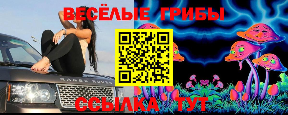 Псилоцибиновые грибы MAGIC MUSHROOMS Сочи